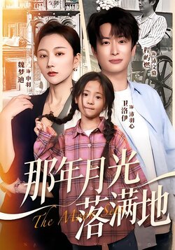 那年月光落满地