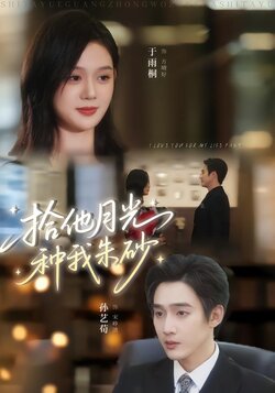 拾他月光种我朱砂