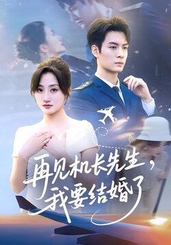 再见机长先生，我要结婚了