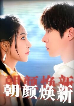 朝颜焕新