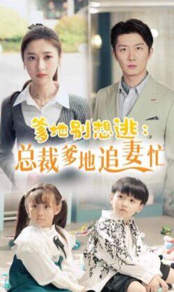 爹地别想逃总裁爹地追妻忙