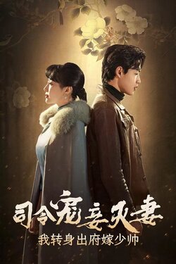 司令宠妾灭妻，我转身出府嫁少帅