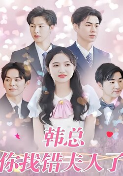 韩总，你找错夫人了