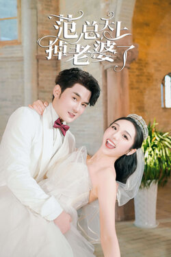 范总天上掉老婆了