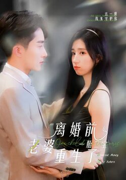 一胎二宝离婚前老婆重生了