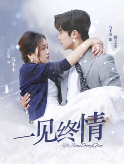 一见终情
