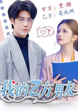 我的乙方男友