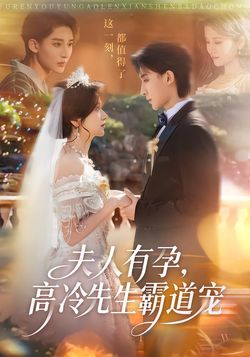 夫人有孕，高冷先生霸道宠