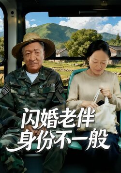 闪婚老伴身份不一般