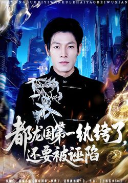 都龙国第一纨绔了，还要被诬陷