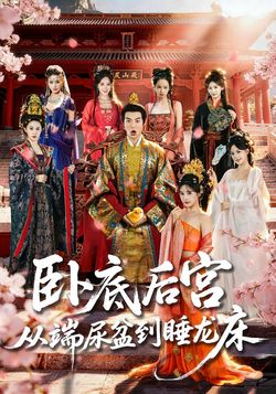 卧底后宫，从端尿盆到睡龙床