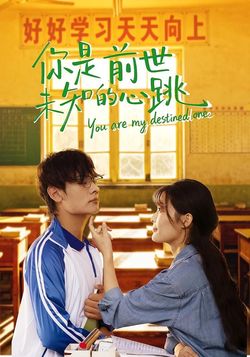 你是前世未知的心跳
