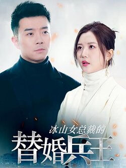 冰山女总裁的替婚兵王