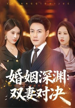 婚姻深渊：双妻对决