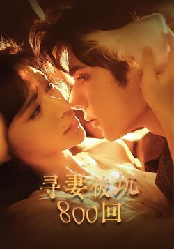 寻妻被坑800回