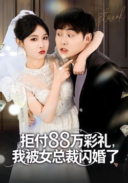 拒付 88 万彩礼，我被女总裁闪婚了