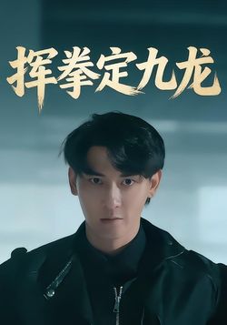 挥拳定九龙