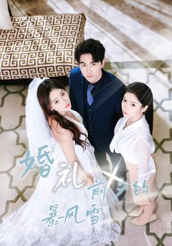 婚礼前夕的暴风雪