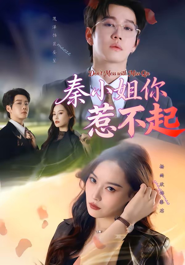 秦小姐你惹不起