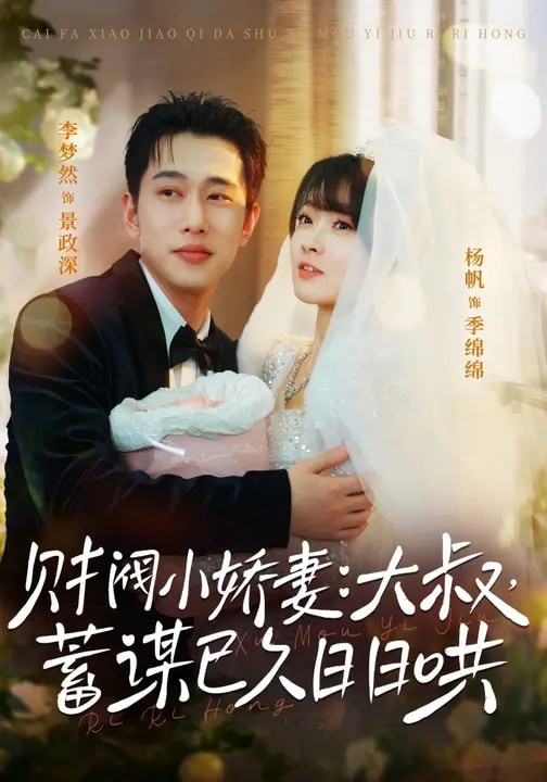 财阀小娇妻：大叔，蓄谋已久日日哄