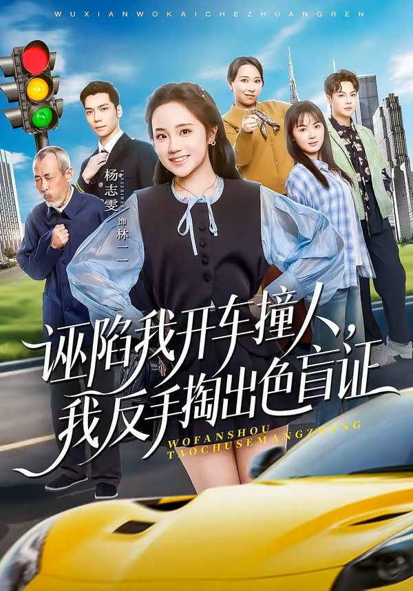 诬陷我开车撞人，我反手掏出色盲证